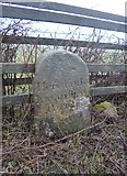 SX5695 : Old Boundary Marker on the A386 in Inwardleigh by Alan Rosevear