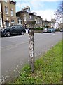 Old Boundary Marker  by the B237, St James