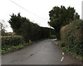 Hedge-lined Church Lane, Marshfield