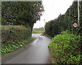 North along Church Lane, Marshfield