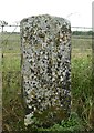 Old Milestone by Amesbury Road, Earl