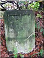 Old Milestone south of Beattock on former B7076