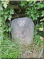 Old milemarker by the Coventry Canal, Amington, Tamworth