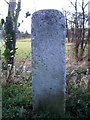 Old Milestone by the A119, North Road, Hertford parish