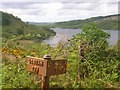 Old Milepost by the A884, Upper Liddesdale, Morvern parish