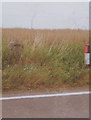 Old Milestone by the A251, Ashford Road, Badlesmere