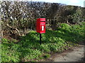 Elizabeth II postbox, Fenn