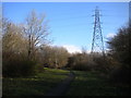 Footpath and pylon, Hill Top