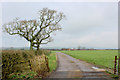 Access Lane to Manor House Farm