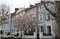 Georgian terrace on Regents Park Road, Primrose Hill