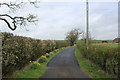 Access Lane running North from Baines Barn