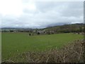 Grassland and Sandfield Farm