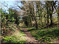 Path, Waterlea Meadow, Crawley