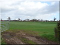 Field entrance south of Brickwalls Farm