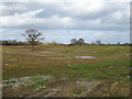 Field, Fern Bank