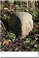 Old milemarker by the Coventry Canal,