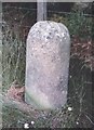 Old Milestone near Hartmount, Tain parish