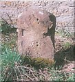 Old Milestone in Thorney village, Kingsbury Episcopi parish