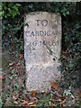 Old Milestone by the A487, Llwyncelyn