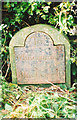 Old Milestone by the A539, Cumber