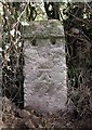 Old Milestone by the former A37, north of Ilchester