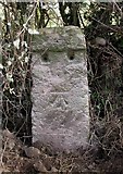 ST5224 : Old Milestone by the former A37, north of Ilchester by Mike Faherty