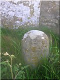 NH9487 : Old Milestone near Tarbat Ness, Portmahomack parish by Milestone Society