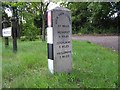 Milestone by the A286, Upper Birtley, Witley parish