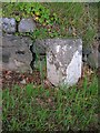 Old Milestone by the A949, Whiteface, Dornoch parish