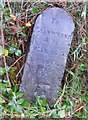 Old Milestone north of Beulah, Treflys parish