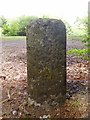 Old Milestone by the B3040, Romsey Road, Winchester