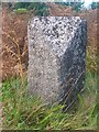 Old Milestone by the A87, west of Skye Bridge, Strath parish