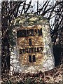 Old Milestone by Dereham Road, east of Scarning