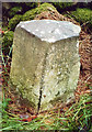 Old Milestone by the A823, south of Muthill