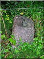 Old Milestone by the B974, Cairn O