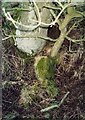 Old Milestone by the B6342, Kirkharle, Kirkwhelpington parish