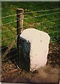 Old Milestone by the A268, Hawkhurst Road, Flimwell