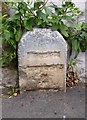 Old Milestone by Ringmore Road, Shaldon