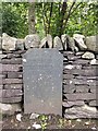 Old Milestone by the A4085, south of Pont Cyrnant, Betws Garmon parish