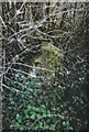 Old Milestone by the A28, Canterbury Road, Godmersham parish