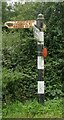 Direction Sign - Signpost by Stockley Cross, Staunton on Arrow