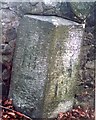 Old Milestone by the A91, Yetts o