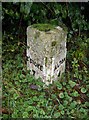 Old Milestone in Lasham, Herriard parish