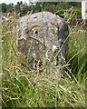 Old Milestone by the A27, Romsey Road, Sherfield English