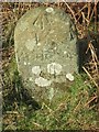 Old Milestone by Neath Road, west of Penhydd Fawr, Cwm Avon parish