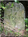 Old Milestone by Maxwellston, Dailly parish