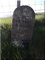 Old Milestone by the B842, South of Stewarton