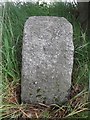 Old Milestone by the A947, south of Macduff, Banff parish