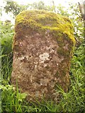 ST0013 : Old milemarker by the Grand Western Canal, Halberton parish by Milestone Society