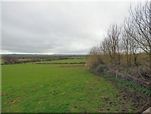 SH4473 : Fields at Llan-Fawr by Gerald England